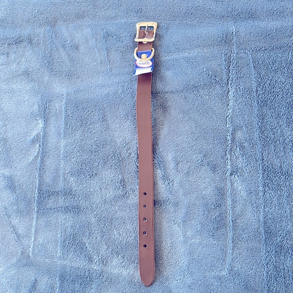 DOG COLLAR BLACK COLOR - Picture 6 of 6